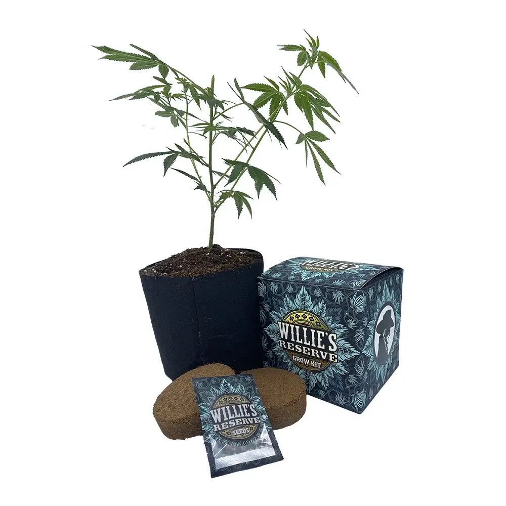 24K Gold High Yield Grow Kit