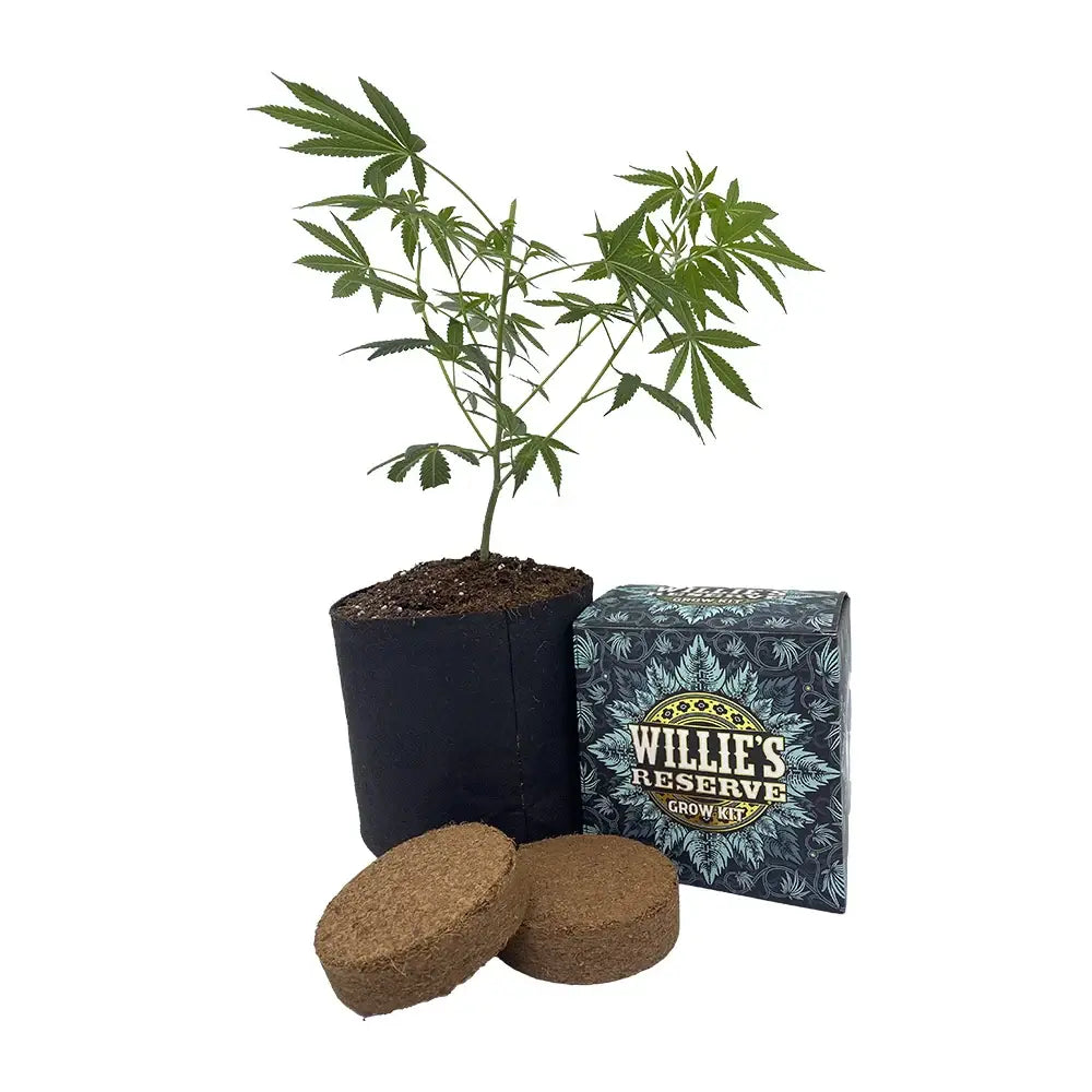 24K Gold High Yield Grow Kit