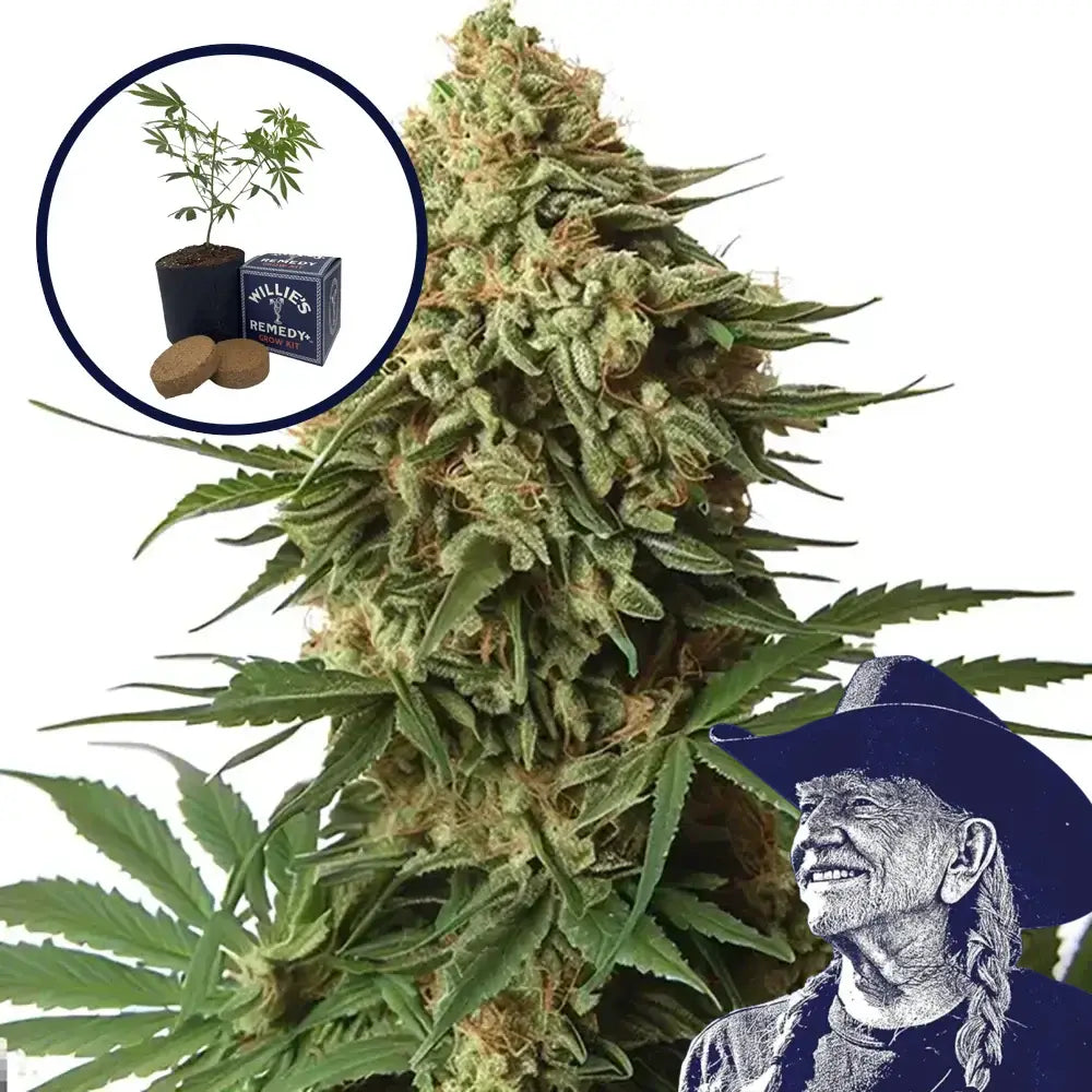 9 lb Hammer Grow Kit