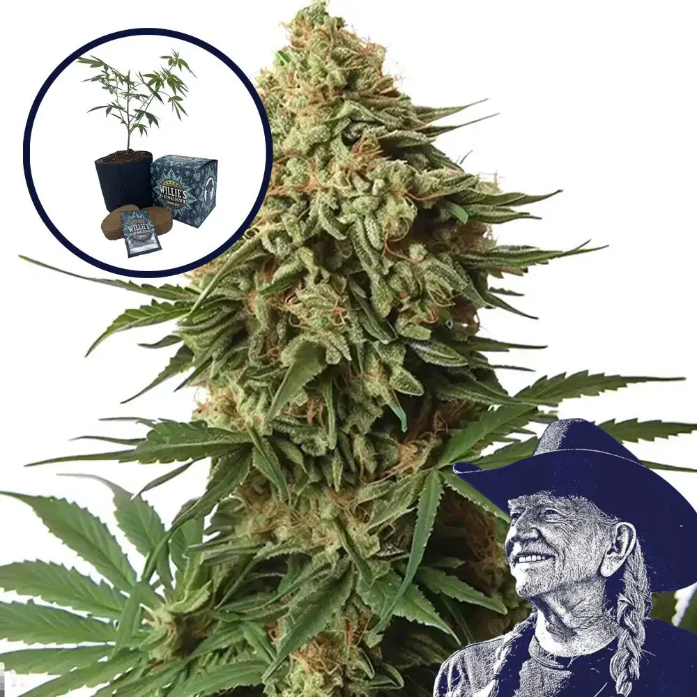 9 lb Hammer High Yield Grow Kit