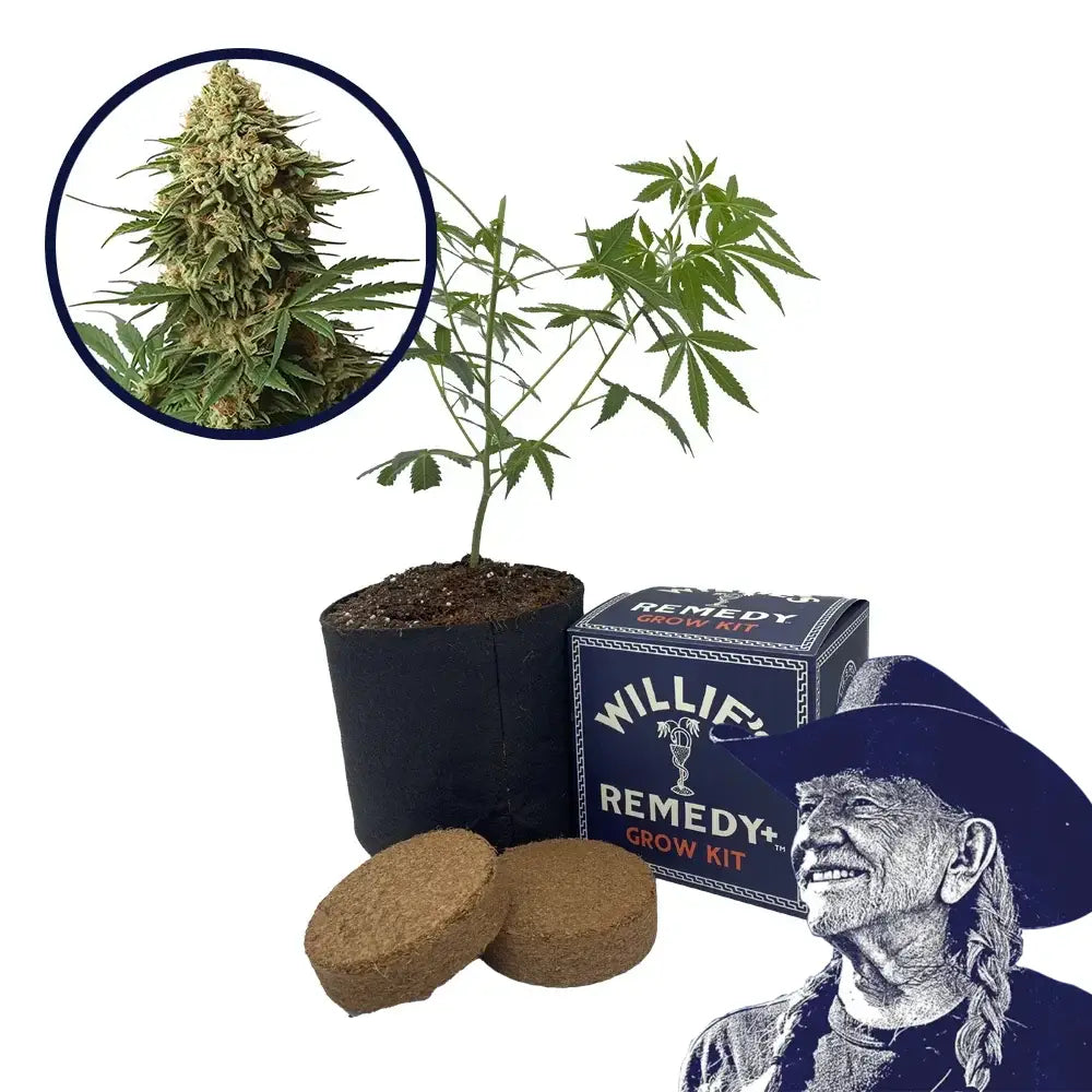 9 lb Hammer Strain Grow Kit