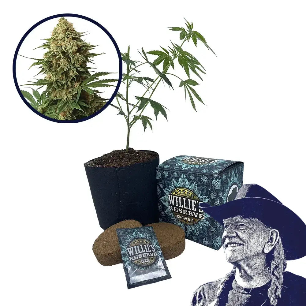 9 lb Hammer Strain High Yield Grow Kit