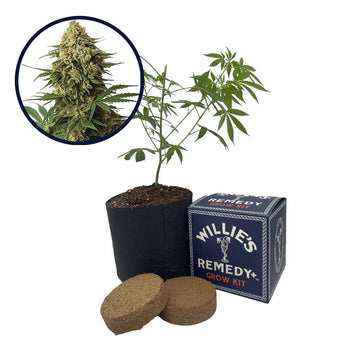 9 lb Hammer Strain Grow Kit