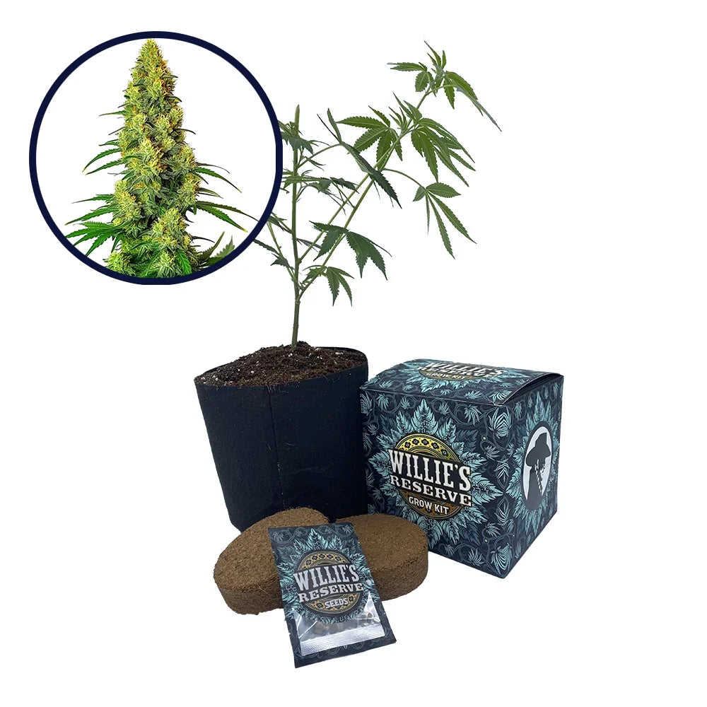 AK-48 Strain High Yield Grow Kit