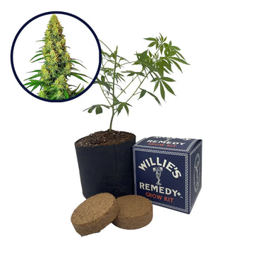 AK-48 Strain Grow Kit