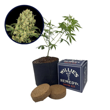 AK 47 Strain Grow Kit