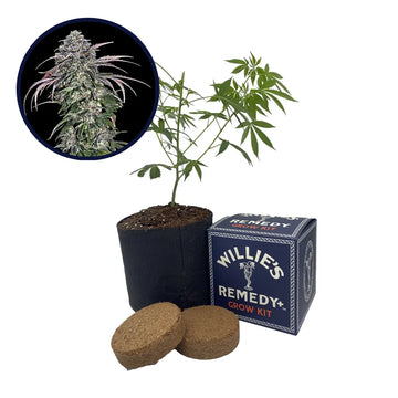 ATF (Alaskan Thunder Fuck) Strain Grow Kit