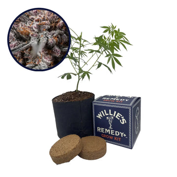 Afghan Kush Strain Grow Kit