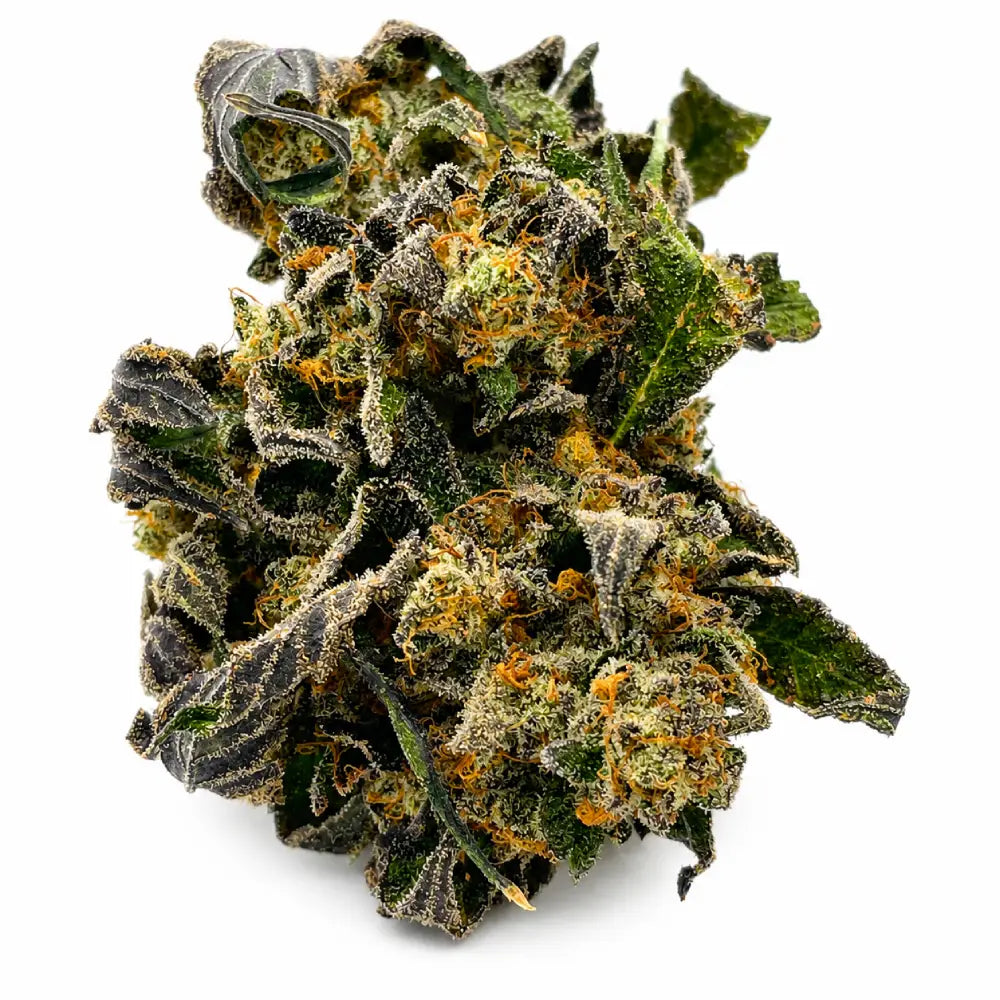 Afghan Skunk Headliner THCa Flower