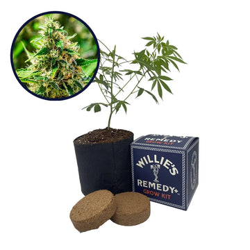 Afghani Strain Grow Kit