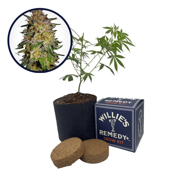 Agent Orange Strain Grow Kit