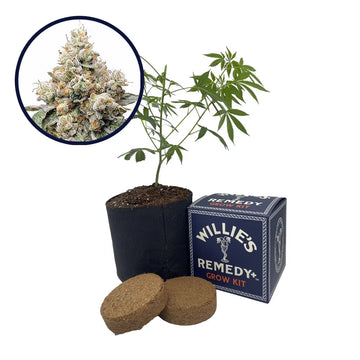 Alien OG Strain Grow Kit