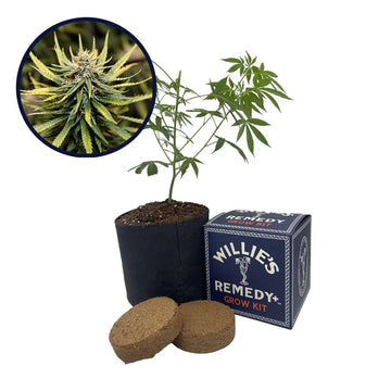 Animal Cookies Strain Grow Kit