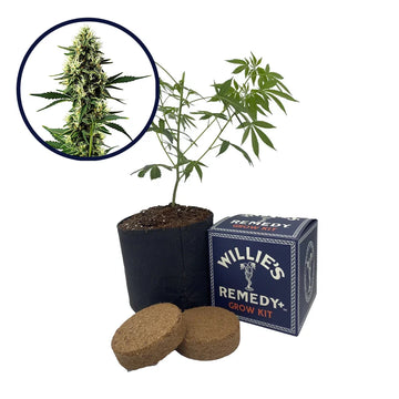 Aurora Indica Strain Grow Kit