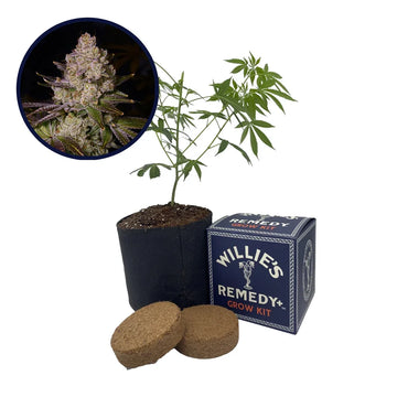 Berry Pie Strain Grow Kit