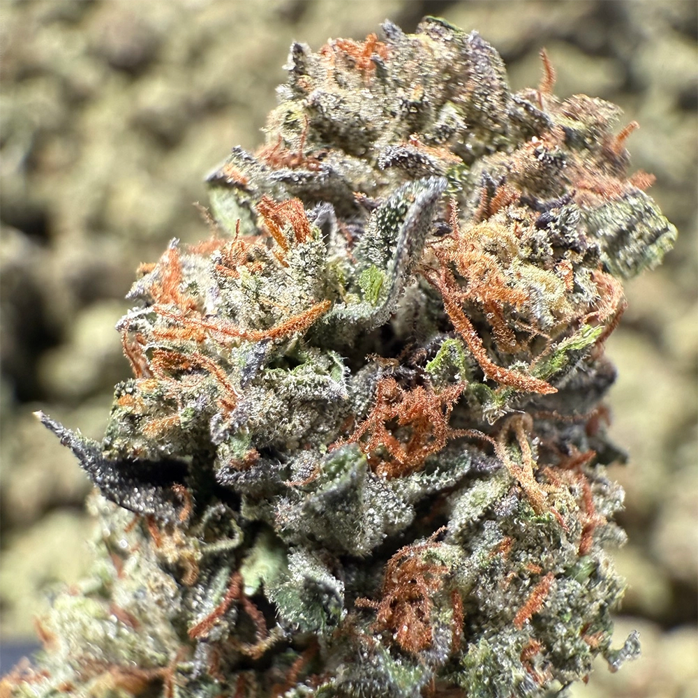 THCa Mystery Flower