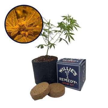 Blue Mystic Strain Grow Kit