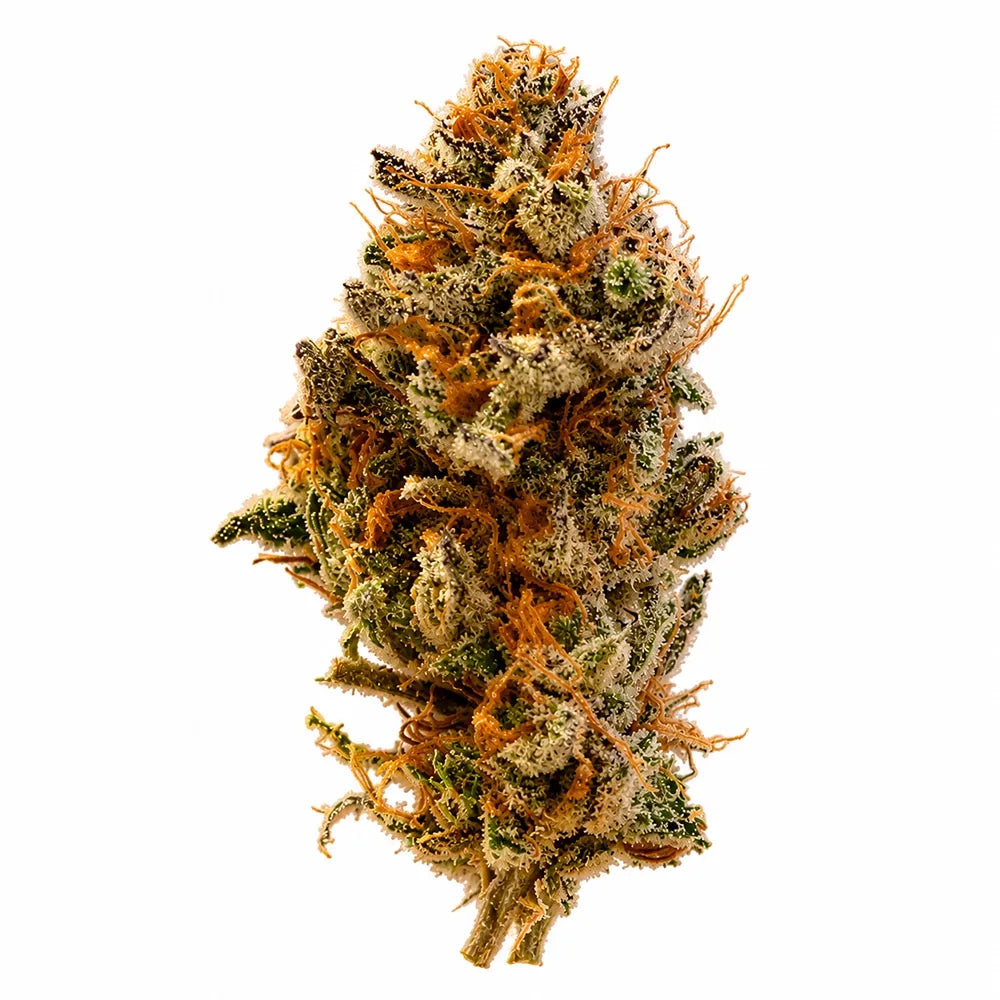 Blueberry Kush Opening Act THCa Flower