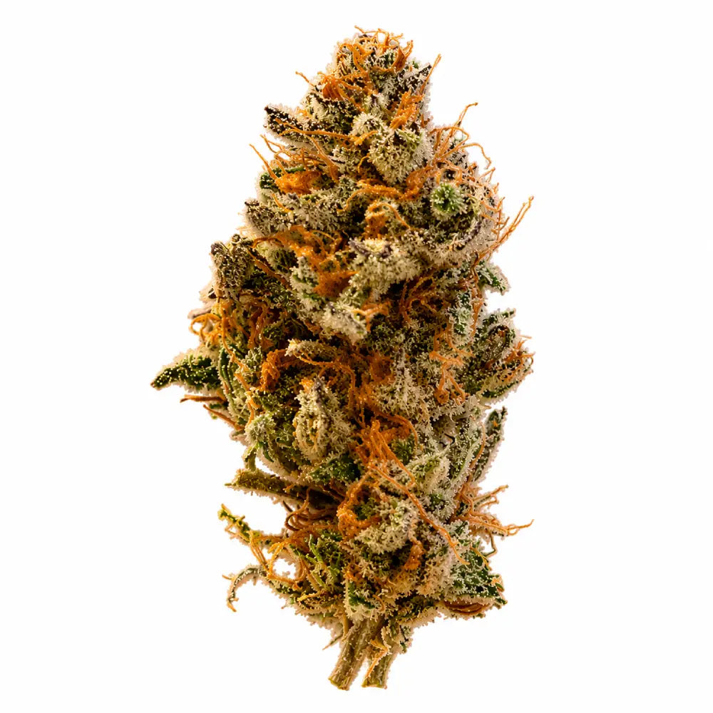Blueberry Kush Opening Act THCa+P