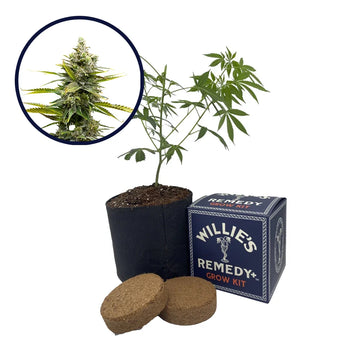 Critical Mass Strain Grow Kit