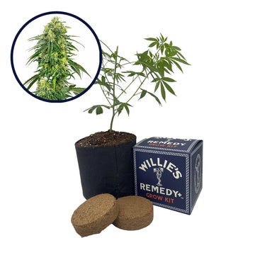 Deadhead OG Strain Grow Kit