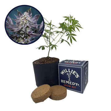 Deep Purple Strain Grow Kit