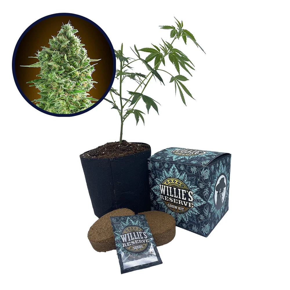 Do-Si-Dos Strain High Yield Grow Kit