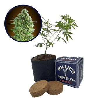 Do-Si-Dos Strain Grow Kit