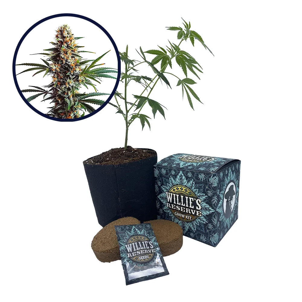 Doug's Varin Strain High Yield Grow Kit