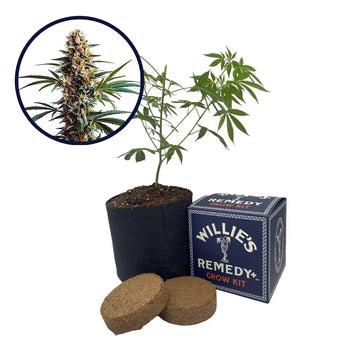 Doug's Varin Strain Grow Kit