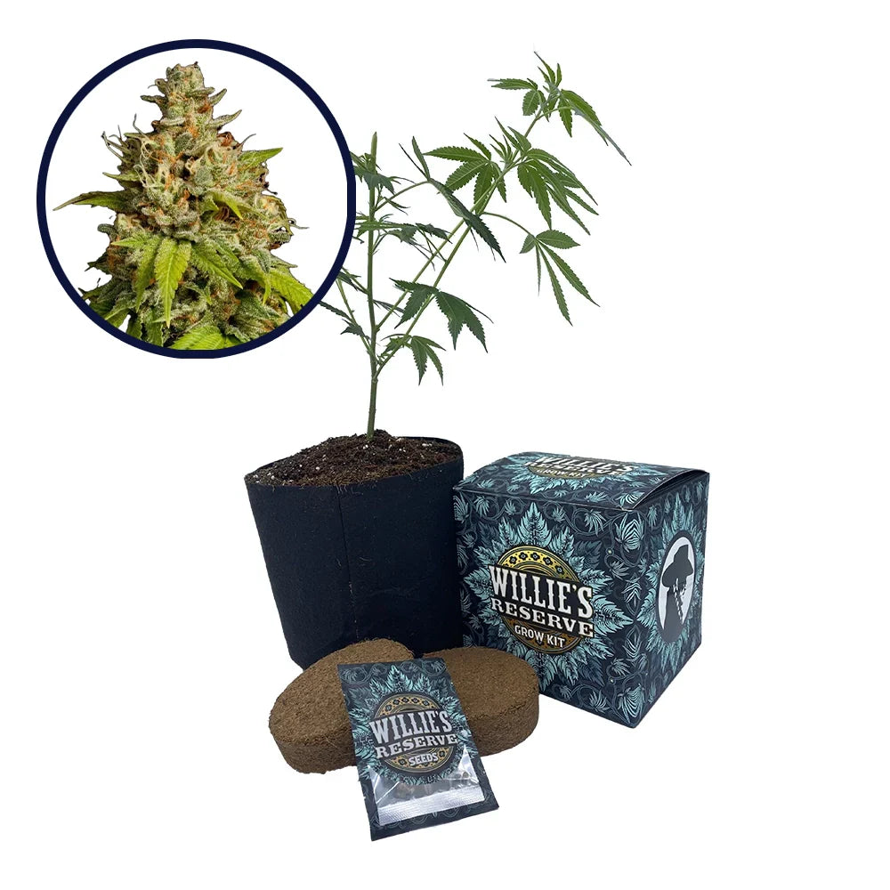 Durban Poison Strain High Yield Grow Kit