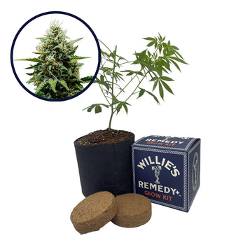 Fat Banana Strain Grow Kit