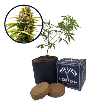 Fat Cheetah Strain Grow Kit
