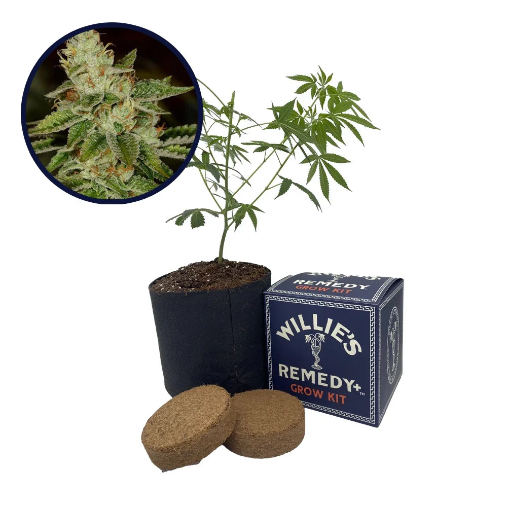 Fire OG Strain Grow Kit