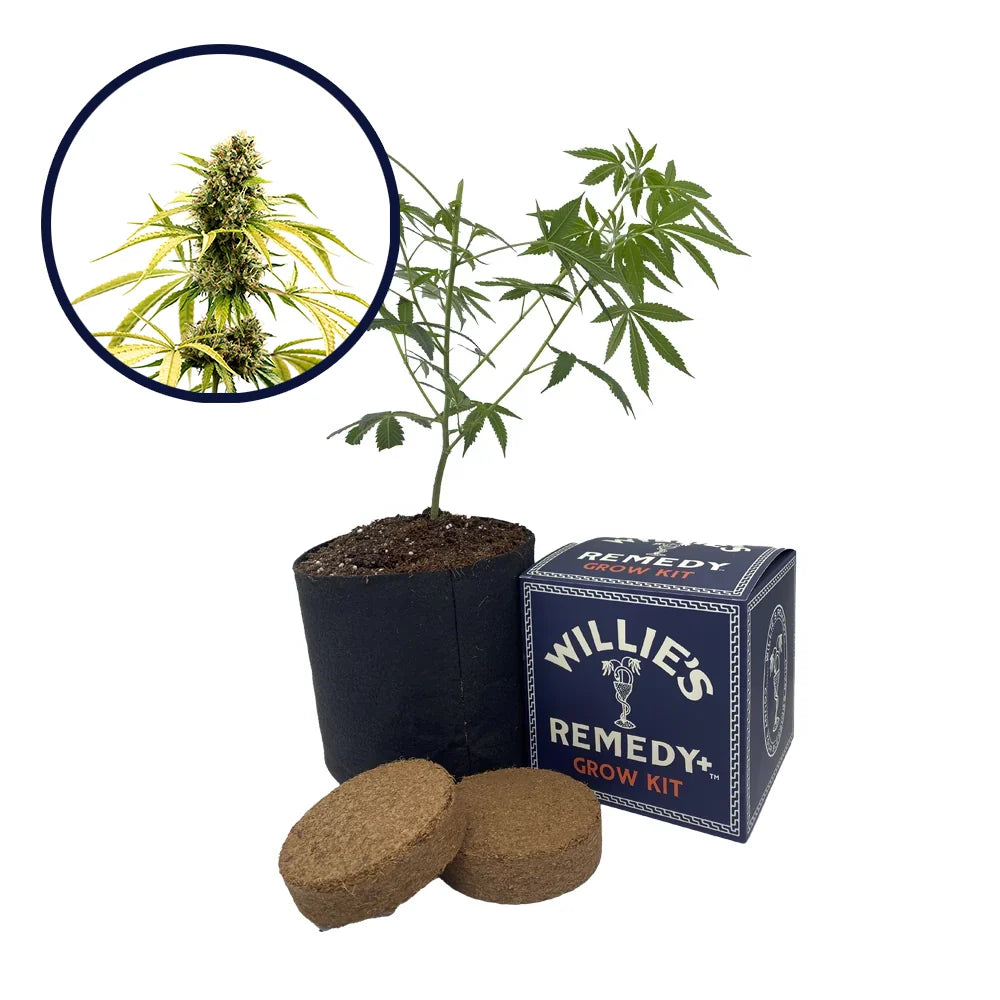 GG4 Strain Grow Kit
