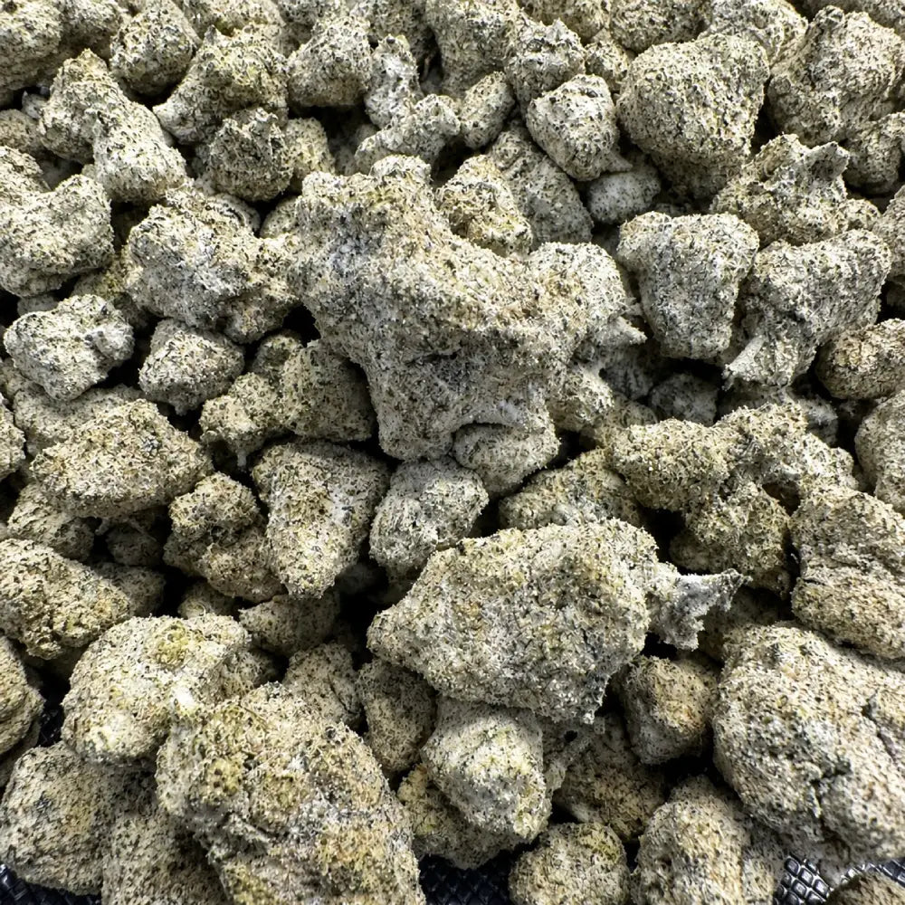 THCa Snowballs Opening Act