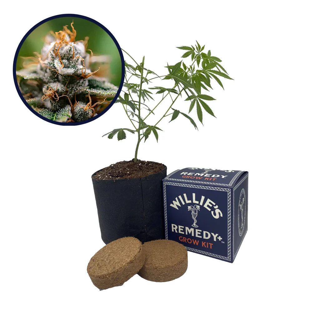 Gorilla Glue x Skywalker OG Platinum Line Strain Grow Kit