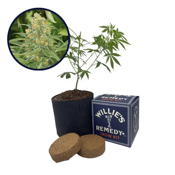 Green Crack Strain Grow Kit