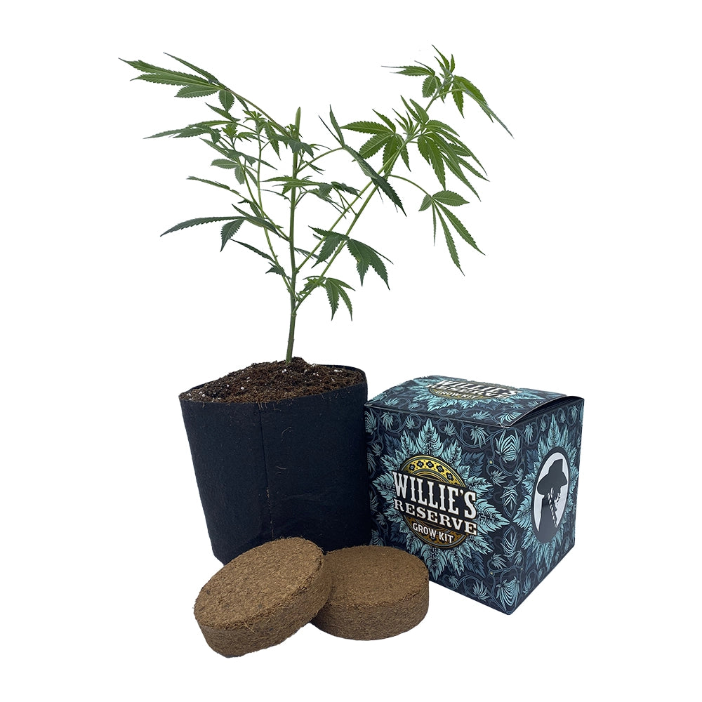 Willie's Reserve High Yield Grow Kit