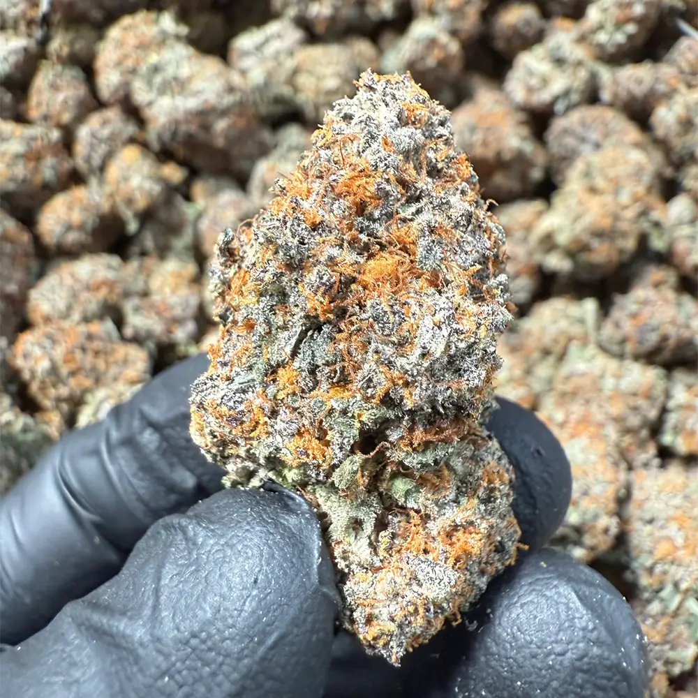 THCa Flower Private Stash