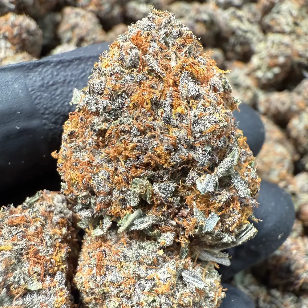 THCa Flower Private Stash