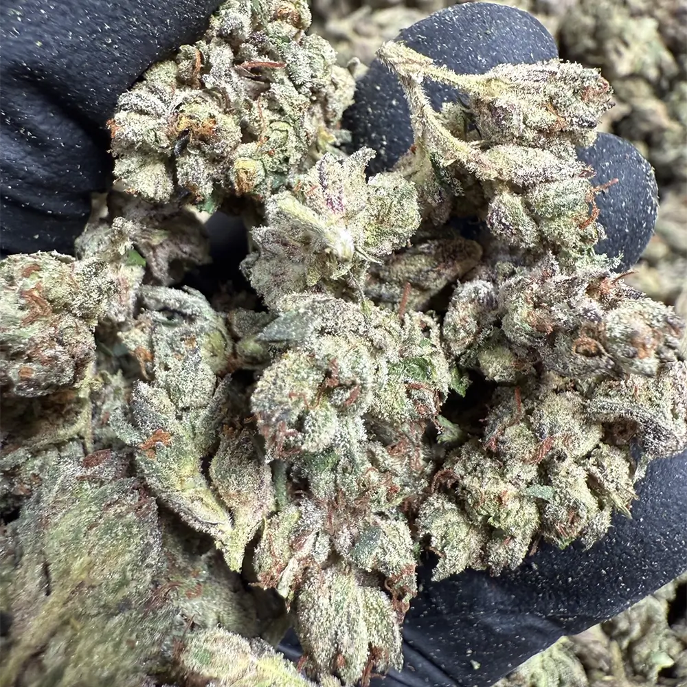 THCa Flower Headliner