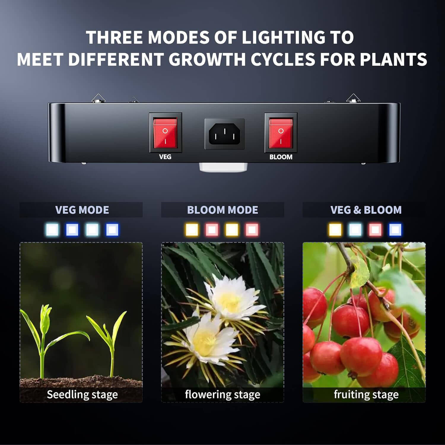 Indoor Grow Light