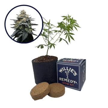 Kush Mint Strain Grow Kit