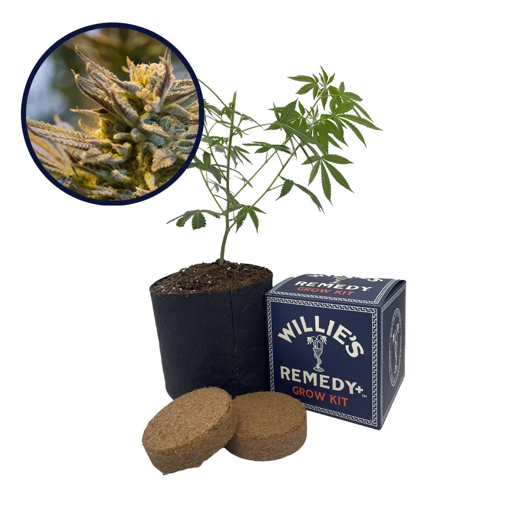 LA Confidential Strain Grow Kit