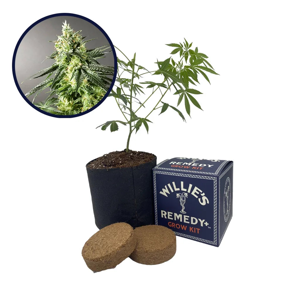 Larry OG Strain Grow Kit