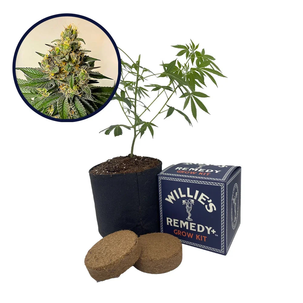 Legend OG Strain Grow Kit
