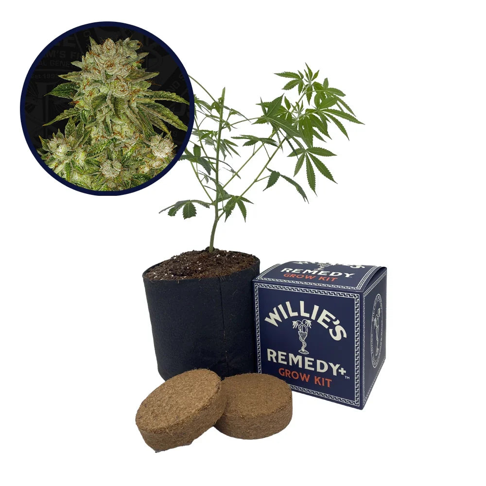 MK Ultra Strain Grow Kit