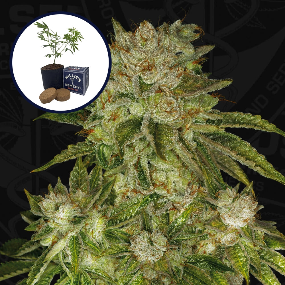 MK Ultra Grow Kit