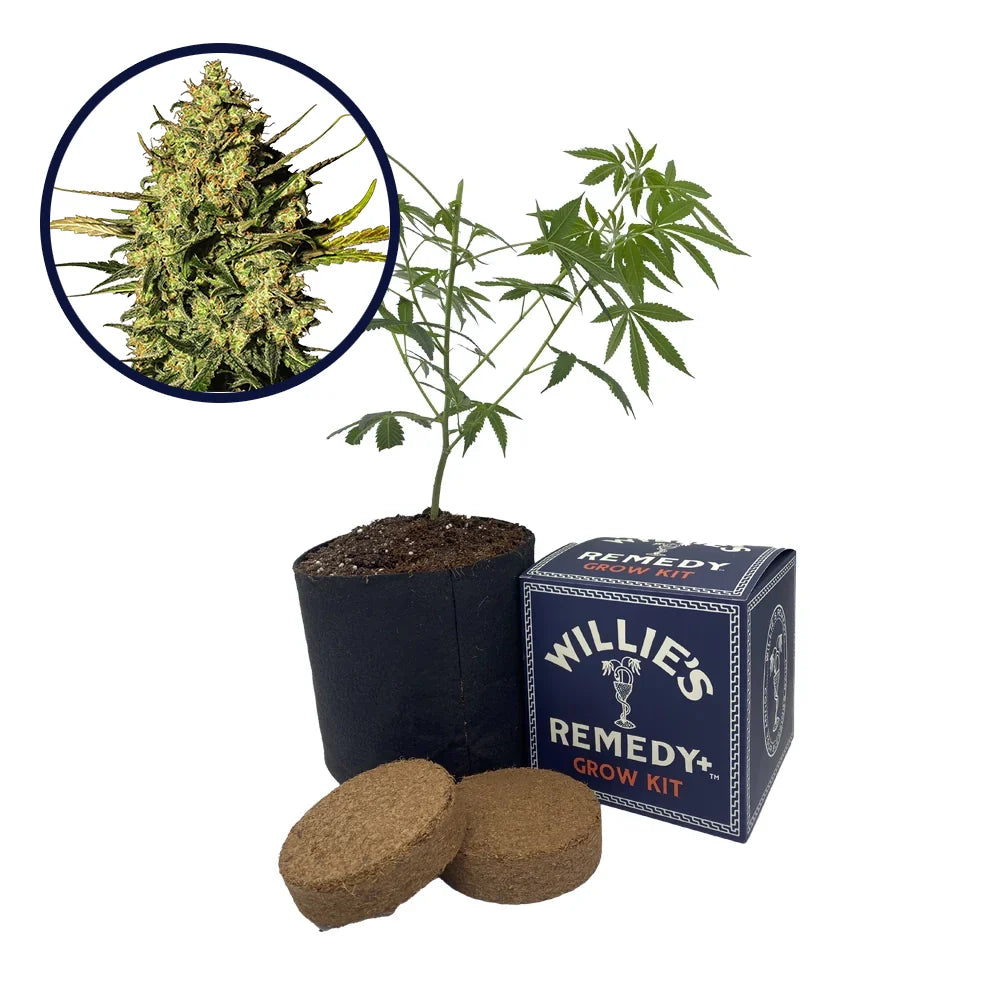 Master OG Strain Grow Kit